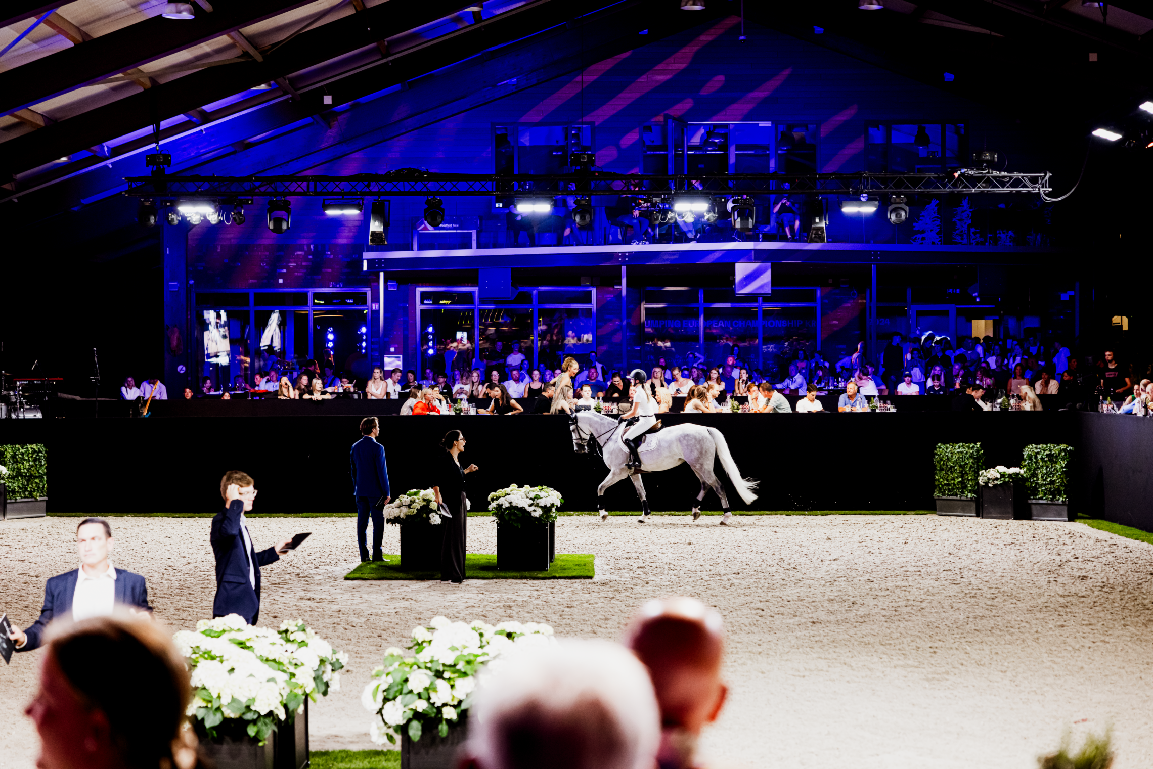 The Collection Auction
