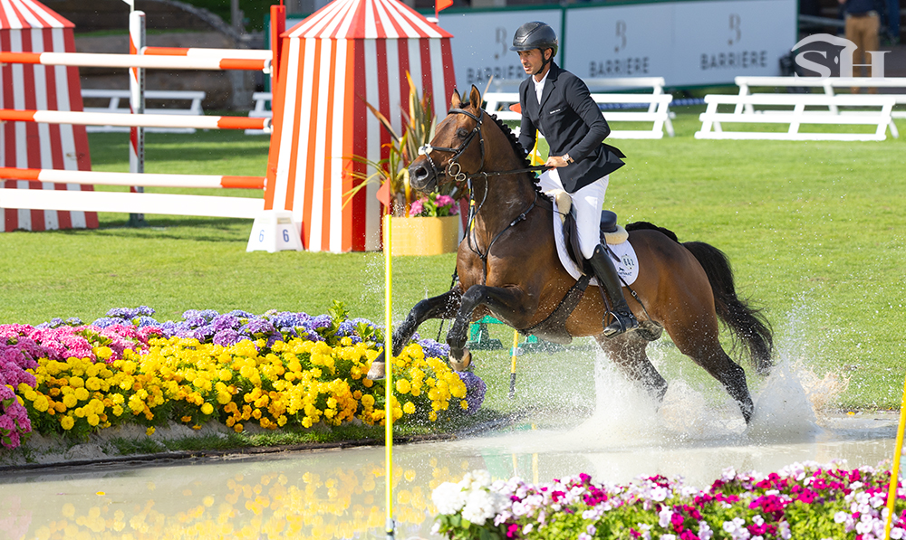 Easy Star de Talma Steve Guerdat