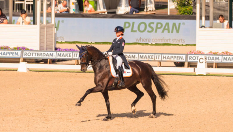 Marieke van der Putten fait bronzer Rotterdam au piaffer