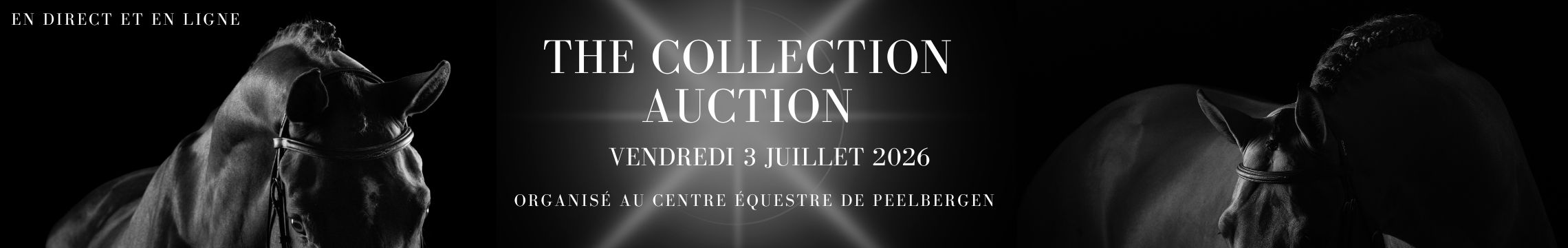 The Collection Auction