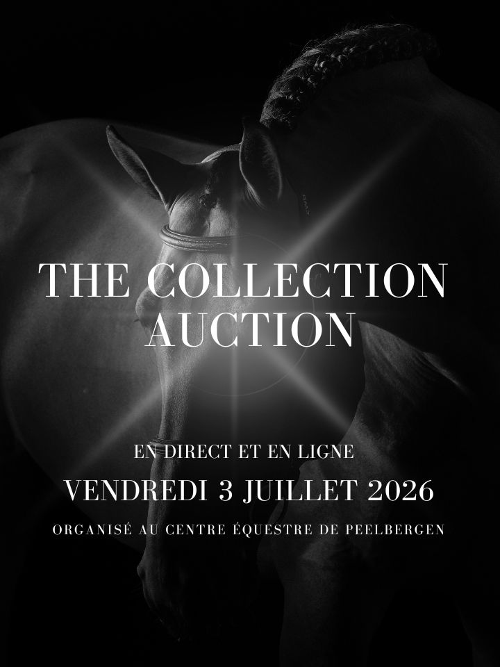The Collection Auction