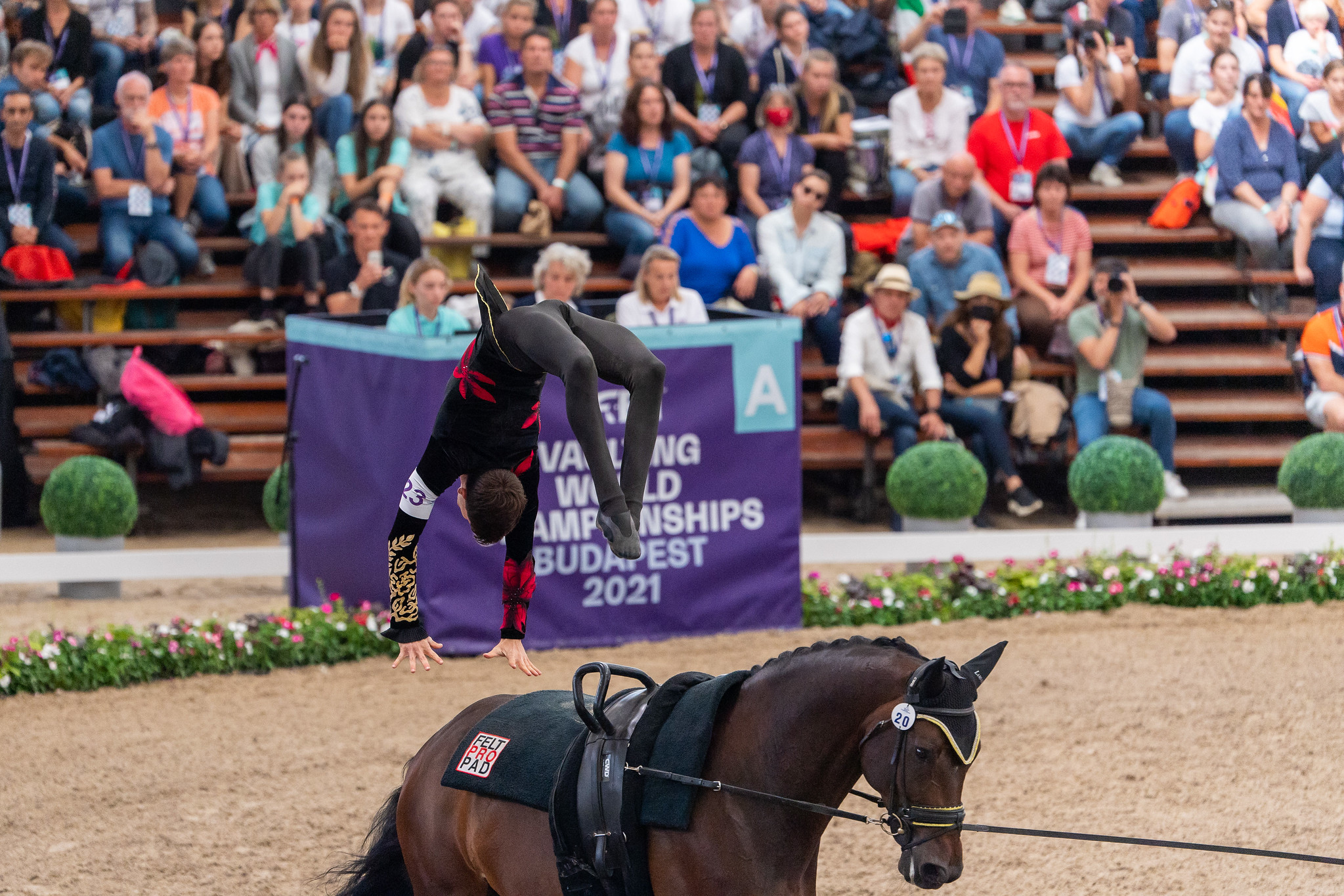 (Lambert Leclezio. ©FEI/Lukasz Kowalski)