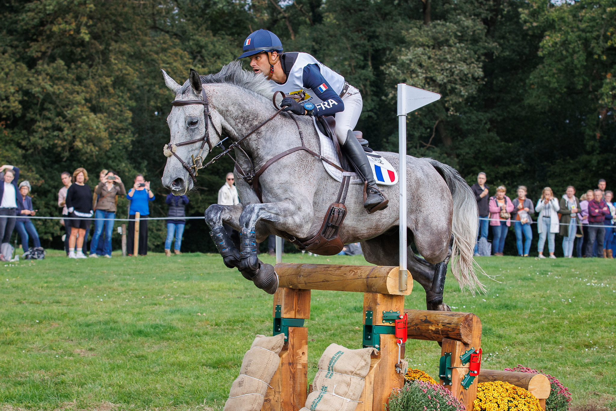 Nicolas Touzaint & Diabolo Menthe. ©FEI/Libby Law