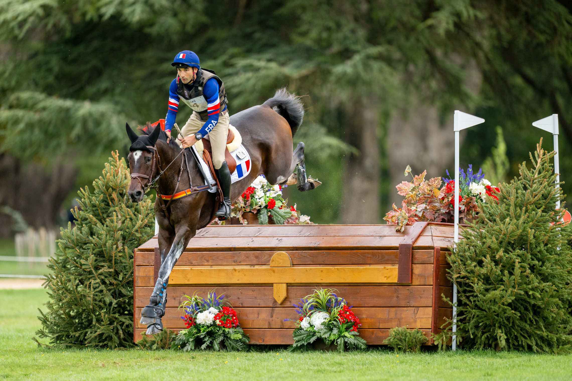 Astier Nicolas & Alertamalib'Or. ©FEI/Benjamin Clark