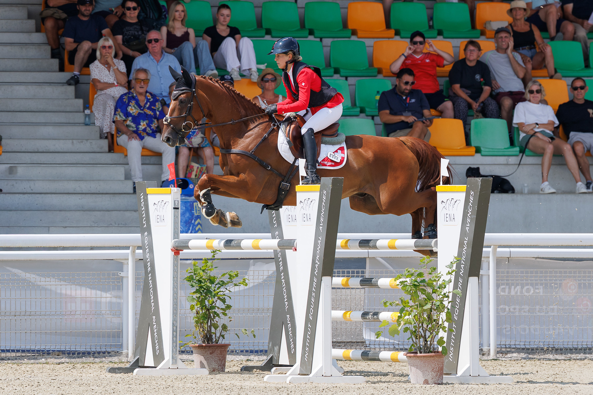 Coupe des nations eventing Avenches Suisse