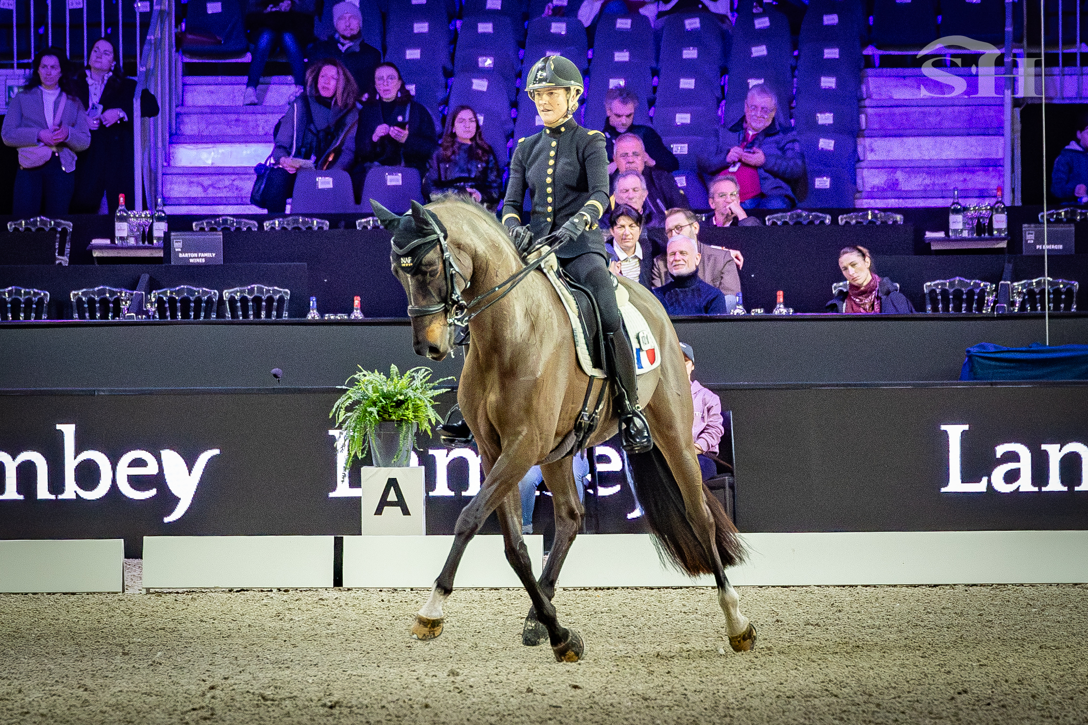 Pauline Basquin & Sertorius de Rima Z IFCE