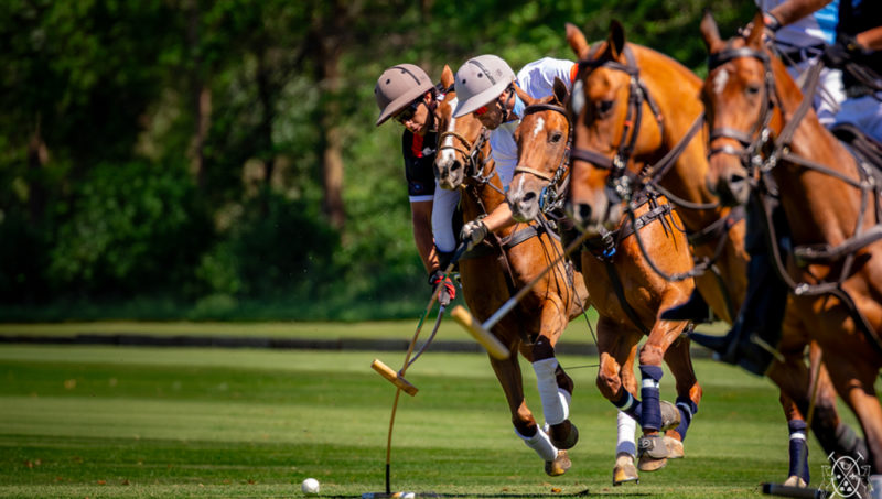 Le mercure se calme, le polo reprend ses droits à Chantilly