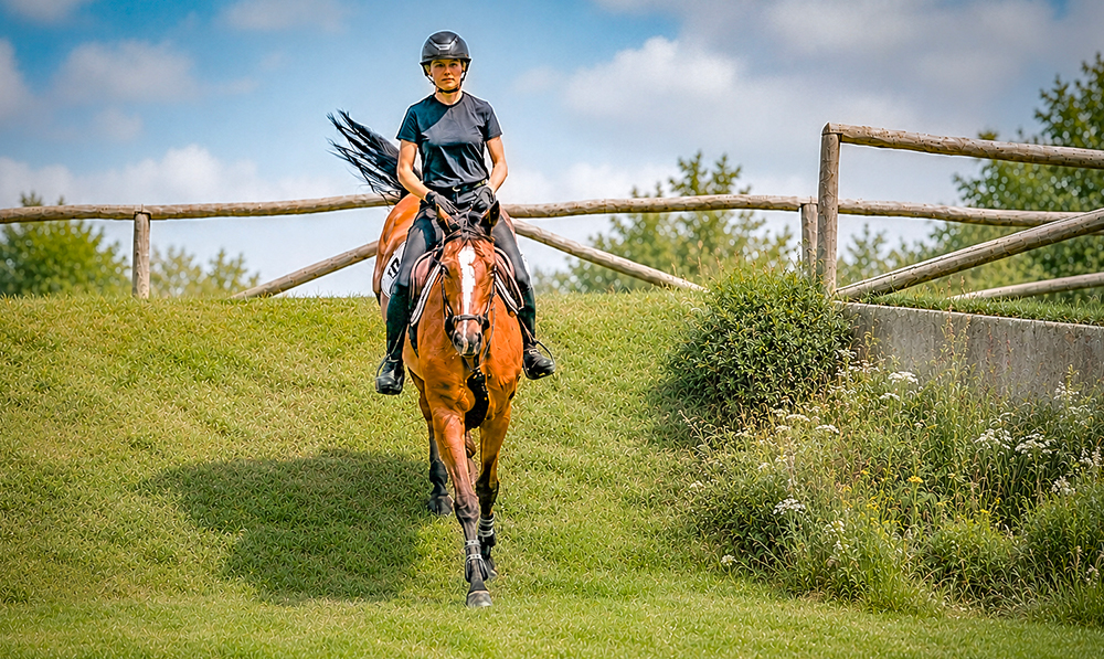 Brussels Stephex Masters derby