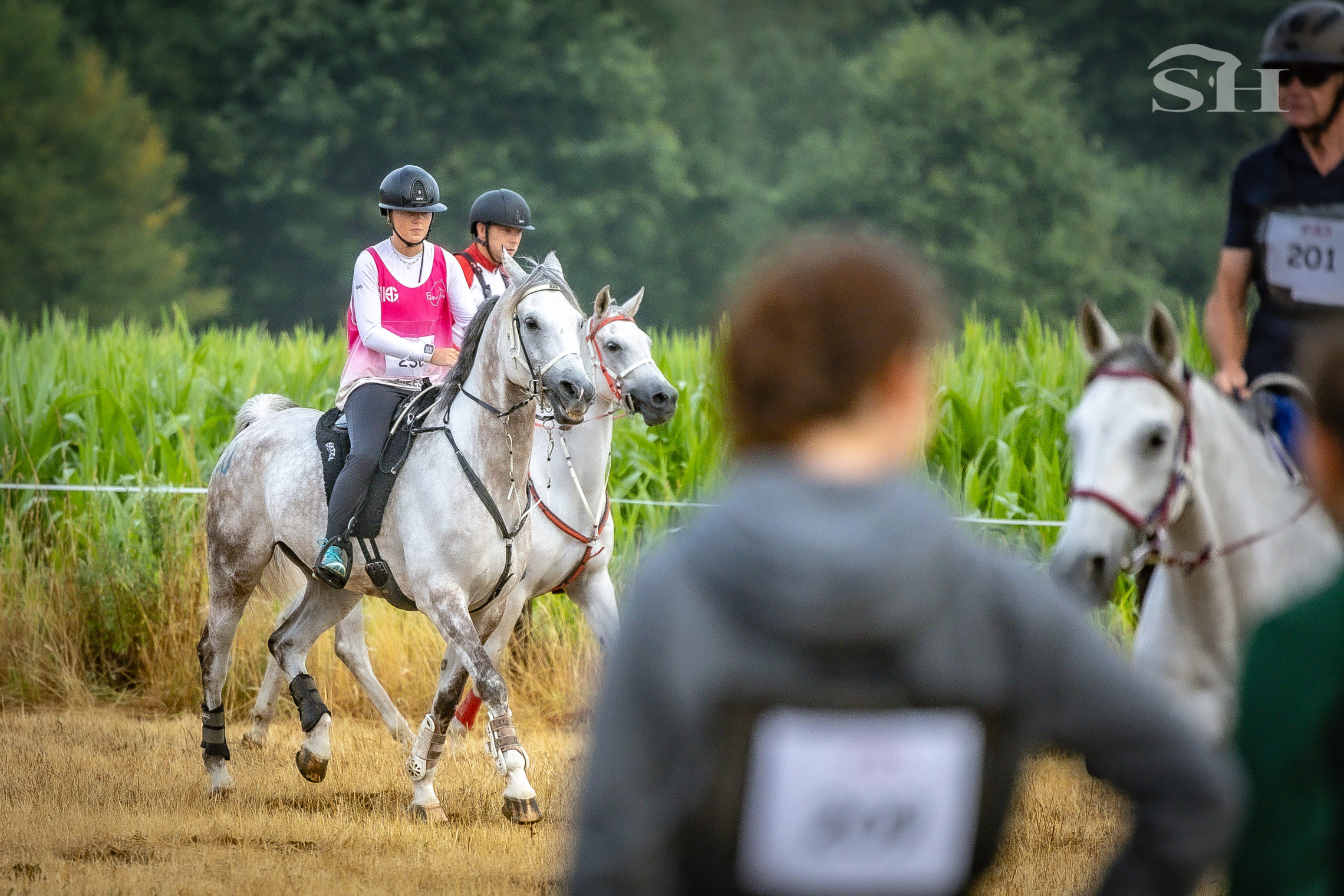 Endurance Etalle Clara Darmstaedter