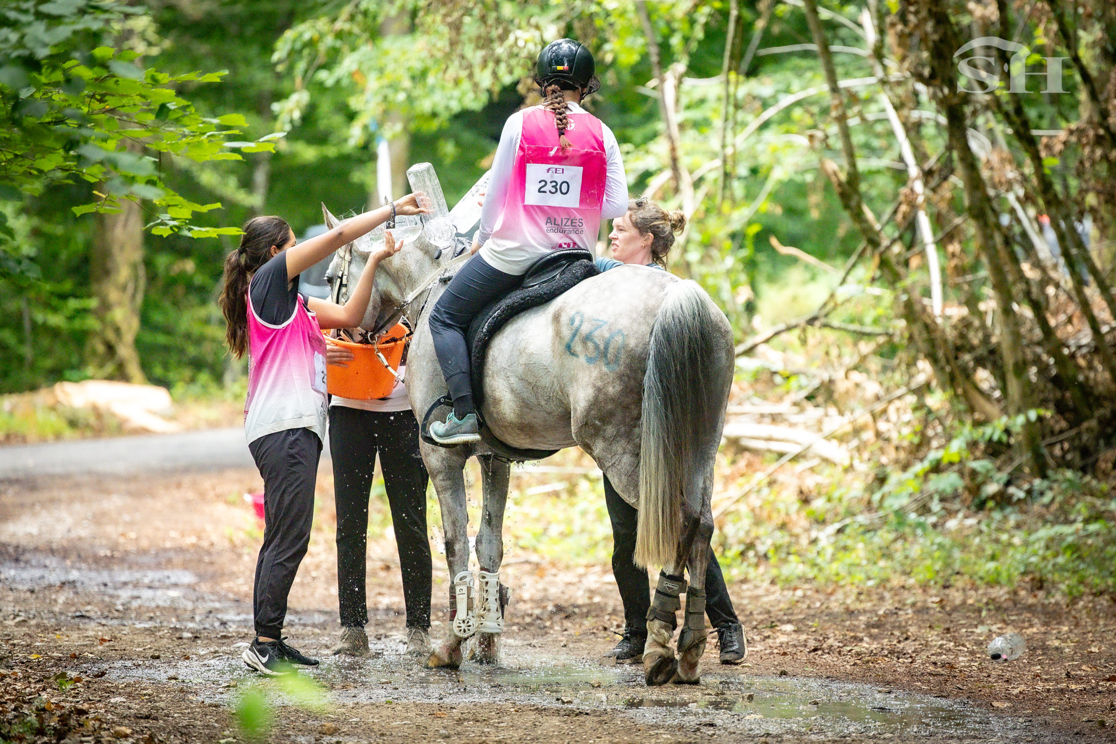 Endurance Etalle Clara Darmstaedter