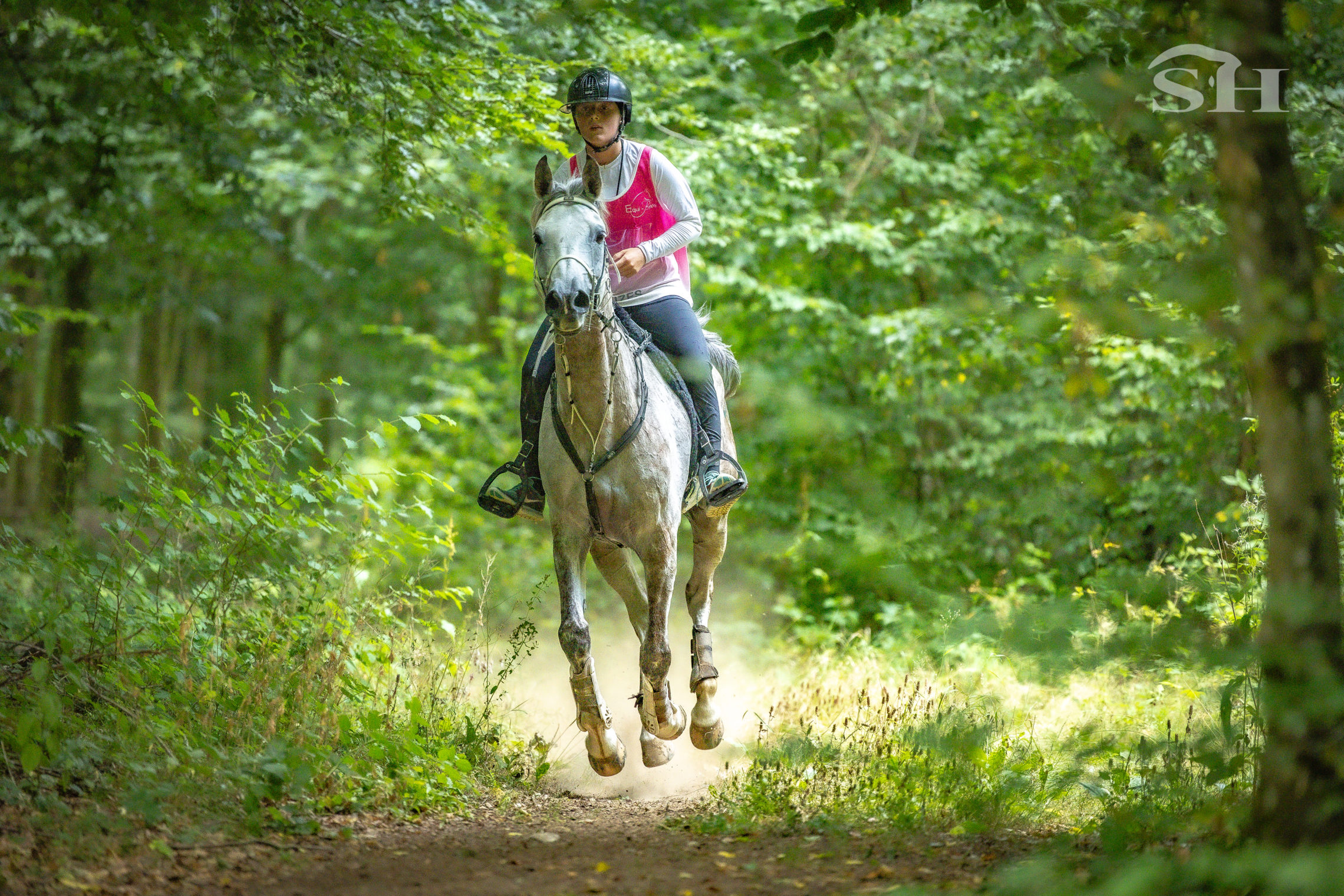 Endurance Etalle Clara Darmstaedter