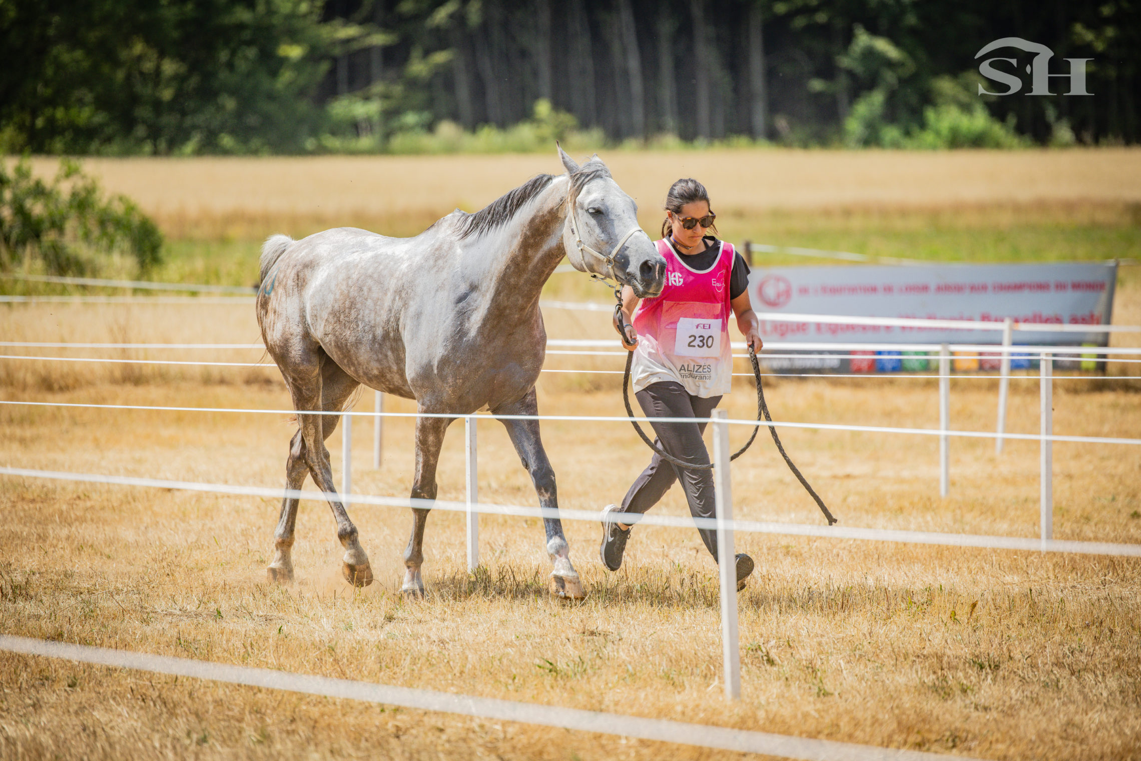 Endurance Etalle Clara Darmstaedter
