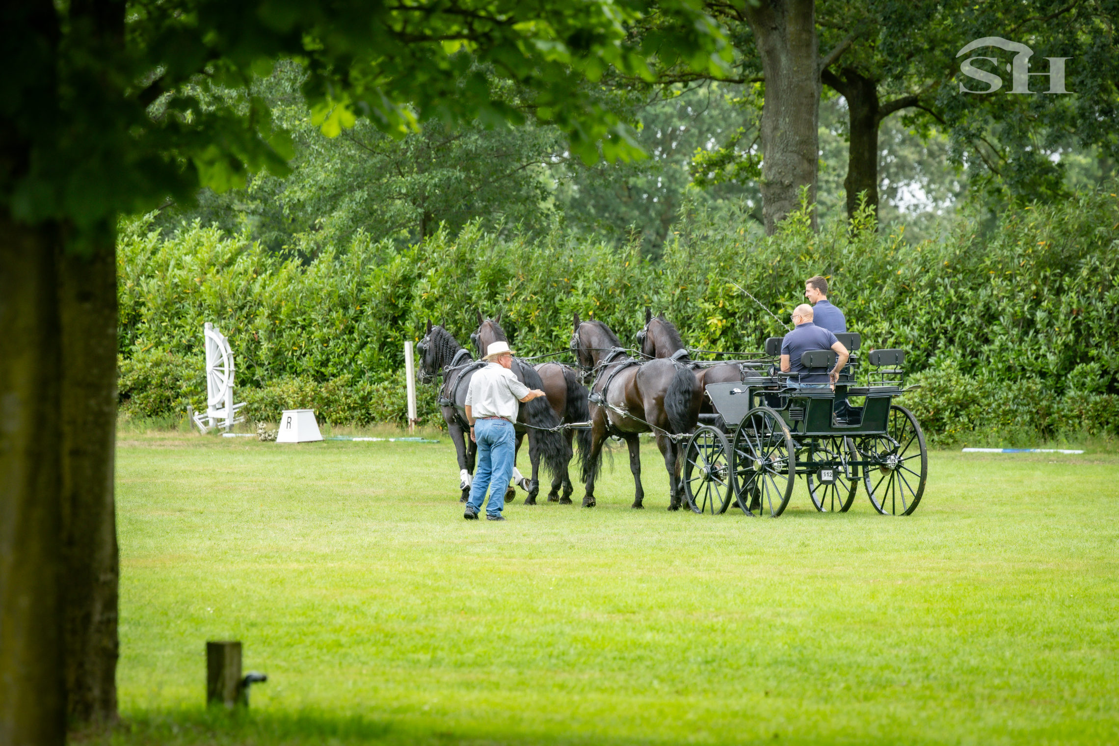 Attelage Belgique training