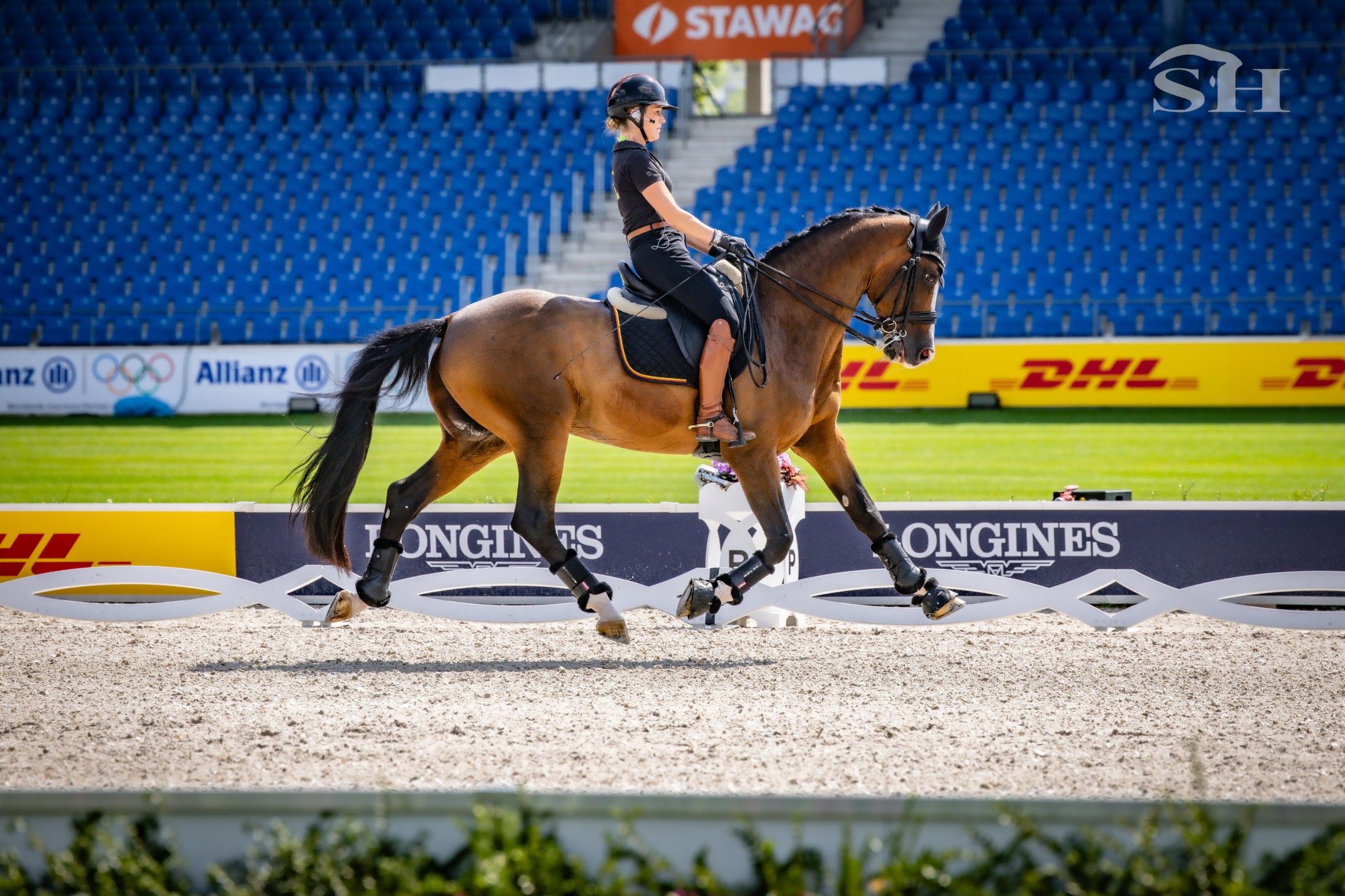 Aachen 2026 dressage Belgium Pauluis