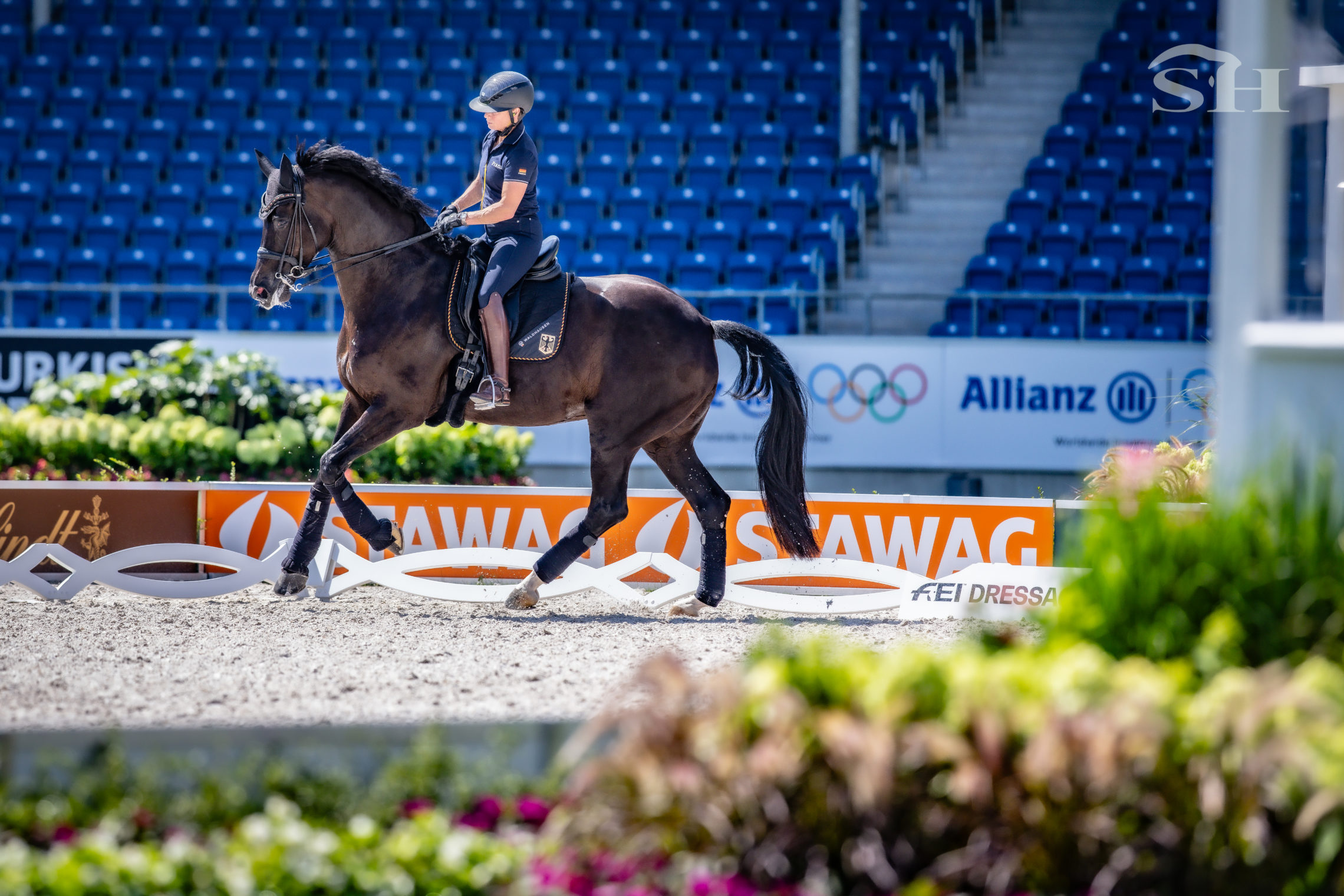 Aachen 2026 dressage Werth