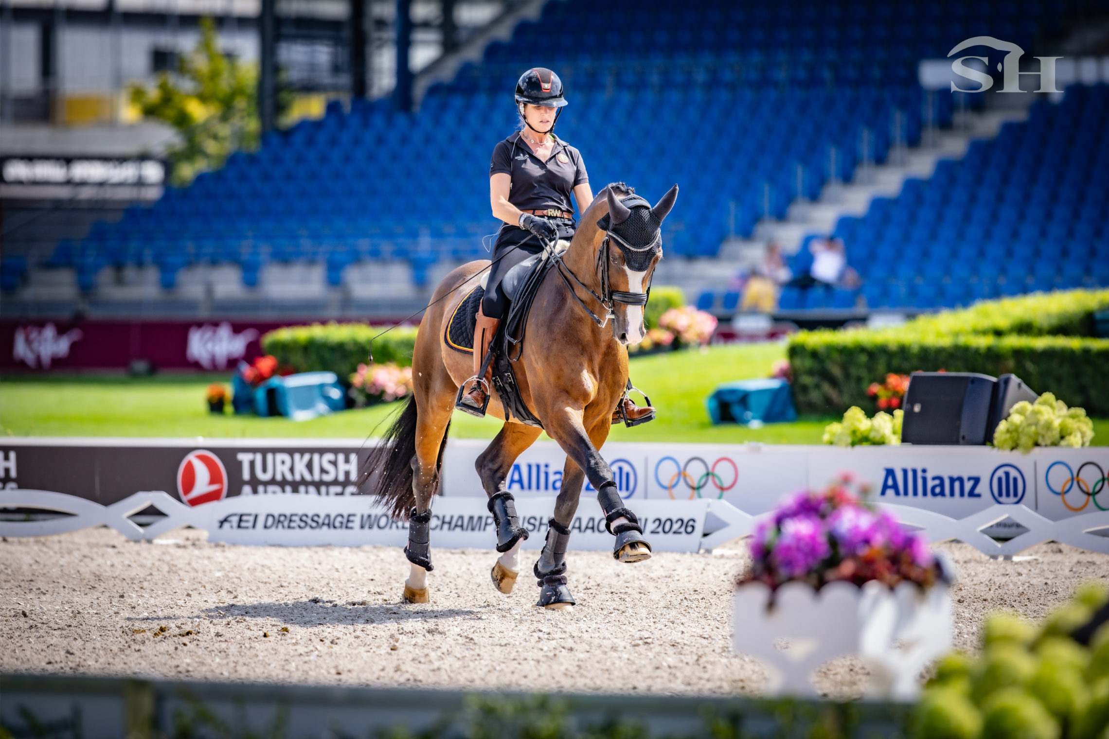 Aachen 2026 dressage Belgium Pauluis