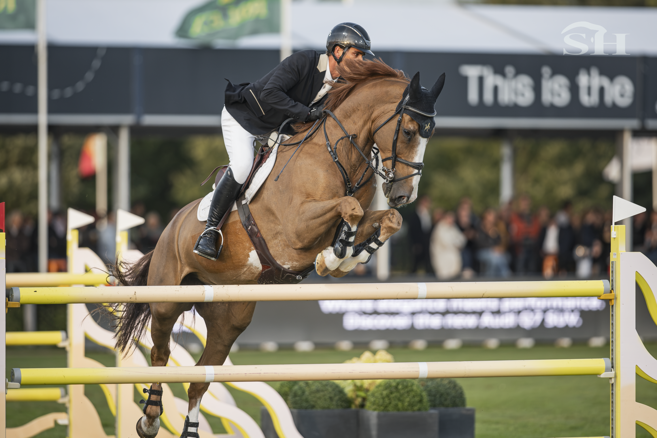 Brussels Stephex Masters Olivier Philippaerts - Miro