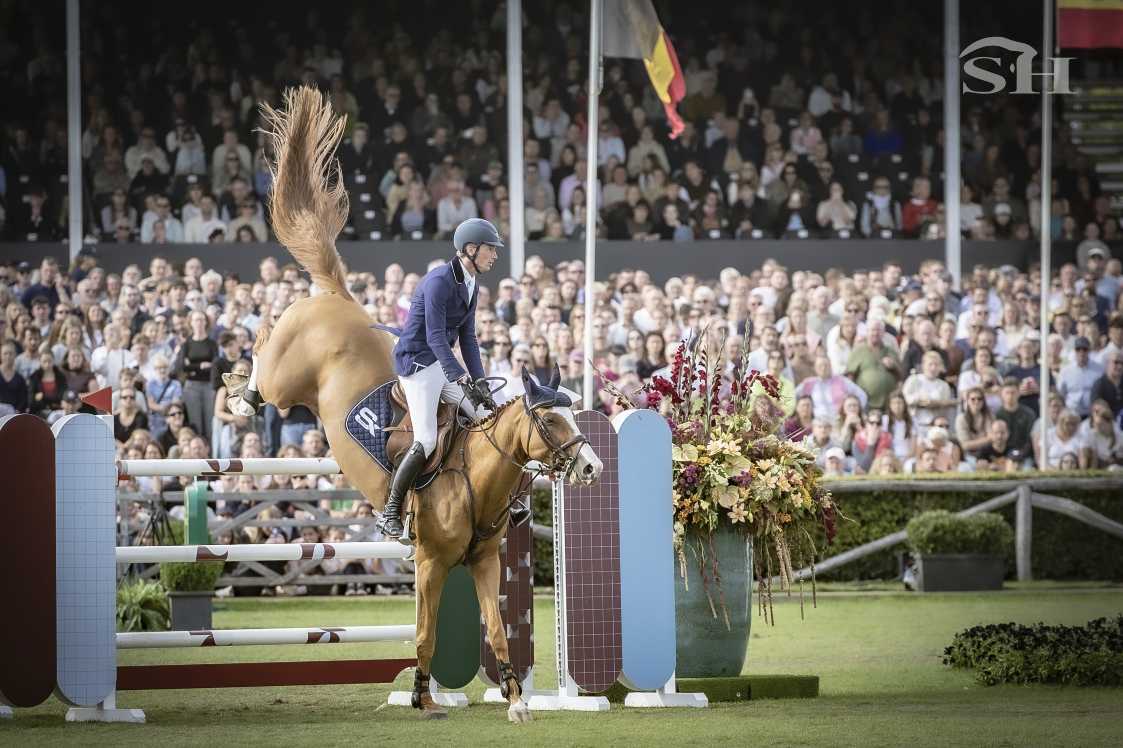 Brussels Stephex Masters Daniel Deusser