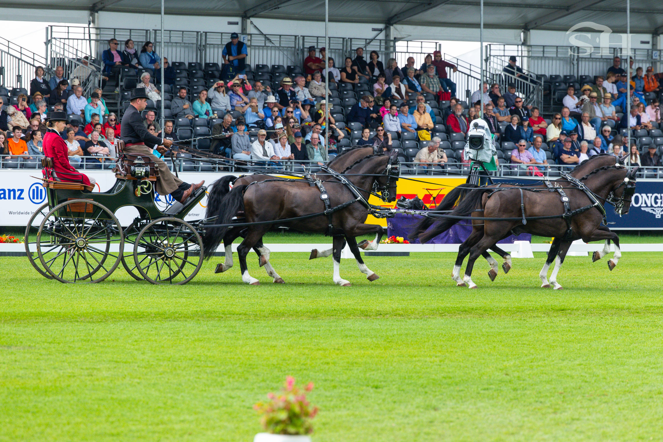 Dries Degrieck Aachen 2026