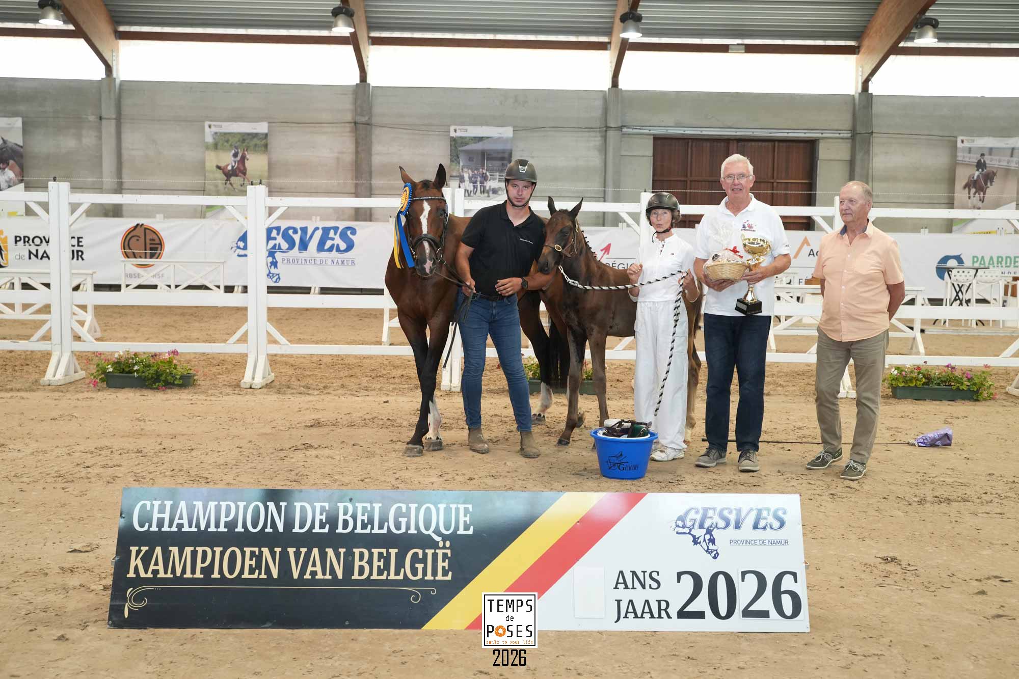 Champ de Belgique jeunes chevaux Gesves