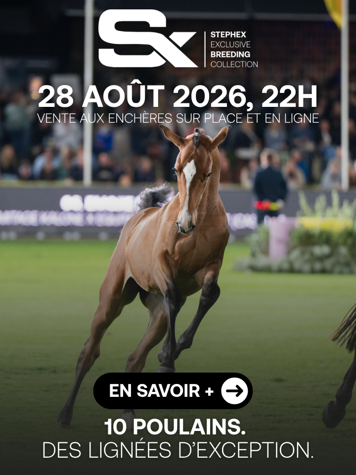 THE STEPHEX EXCLUSIVE BREEDING COLLECTION AUCTION 2026