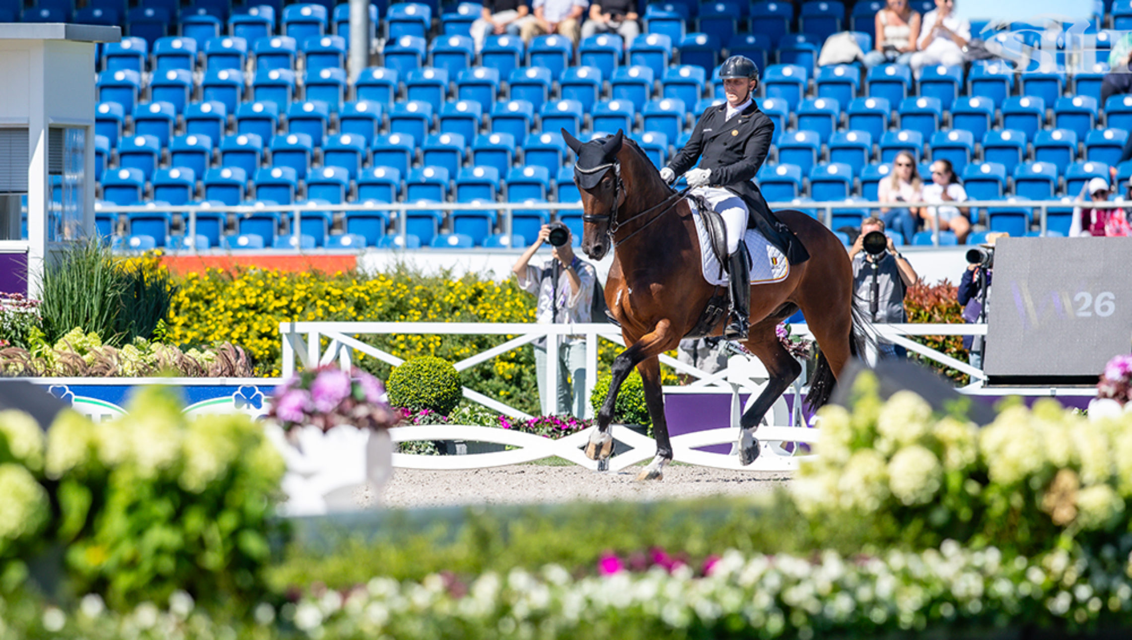 Aachen 2026, la Belgique du dressage démarre avec des regrets, l’Allemagne avec les muscles