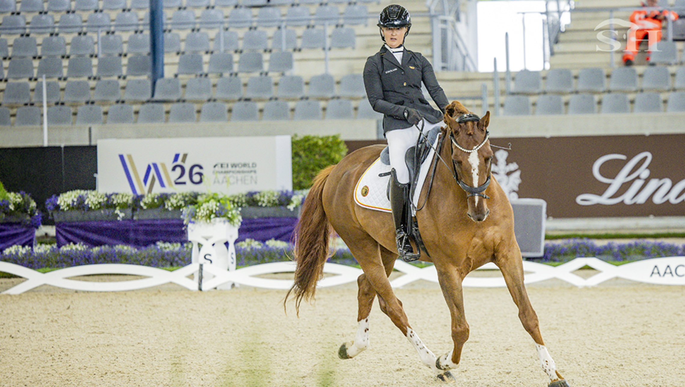 Para-dressage : à Aix, les Belges n’ont pas gagné de médaille. Ils ont peut-être gagné mieux