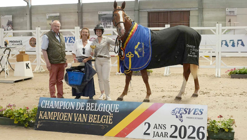 Eline Maraite et la Fée qui transforme tout en or