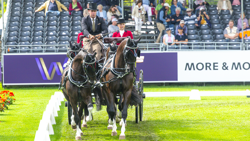 Dries Degrieck met déjà les quatre chevaux dans le bon sens