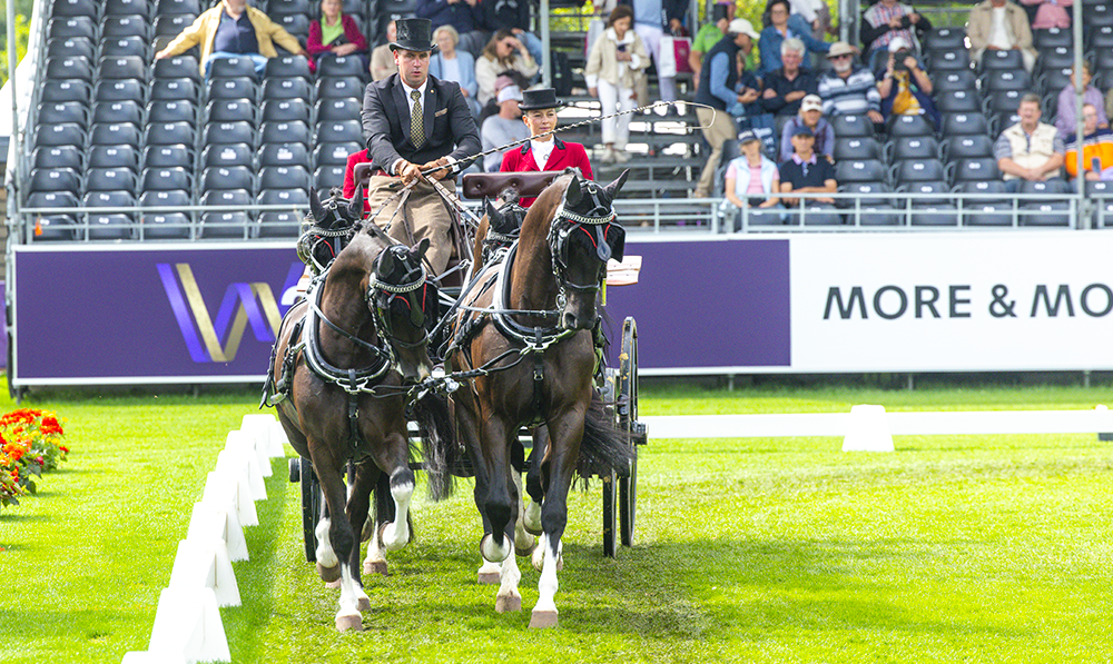 Driving Dressage Dries Degrieck Aachen 2026