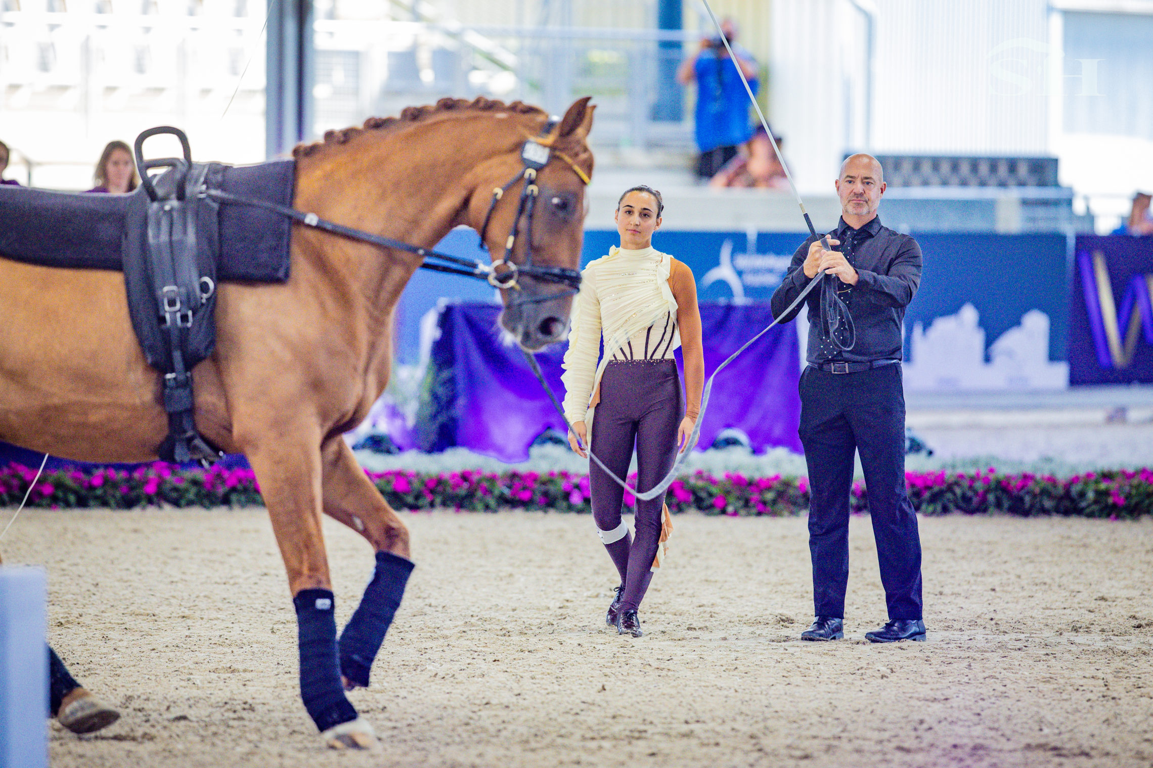 Vaulting Aachen 2026