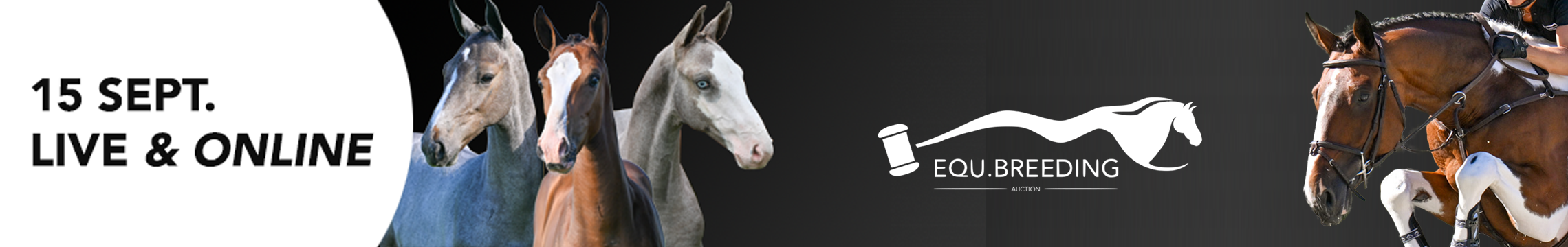 Equbreeding Auction