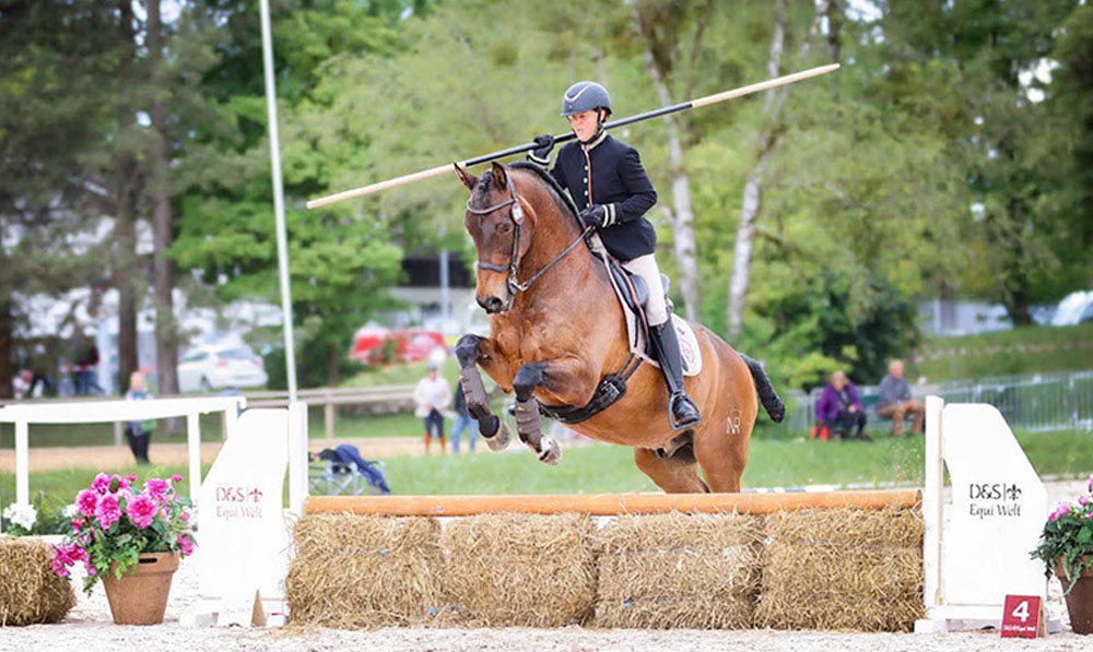 équitation de travail