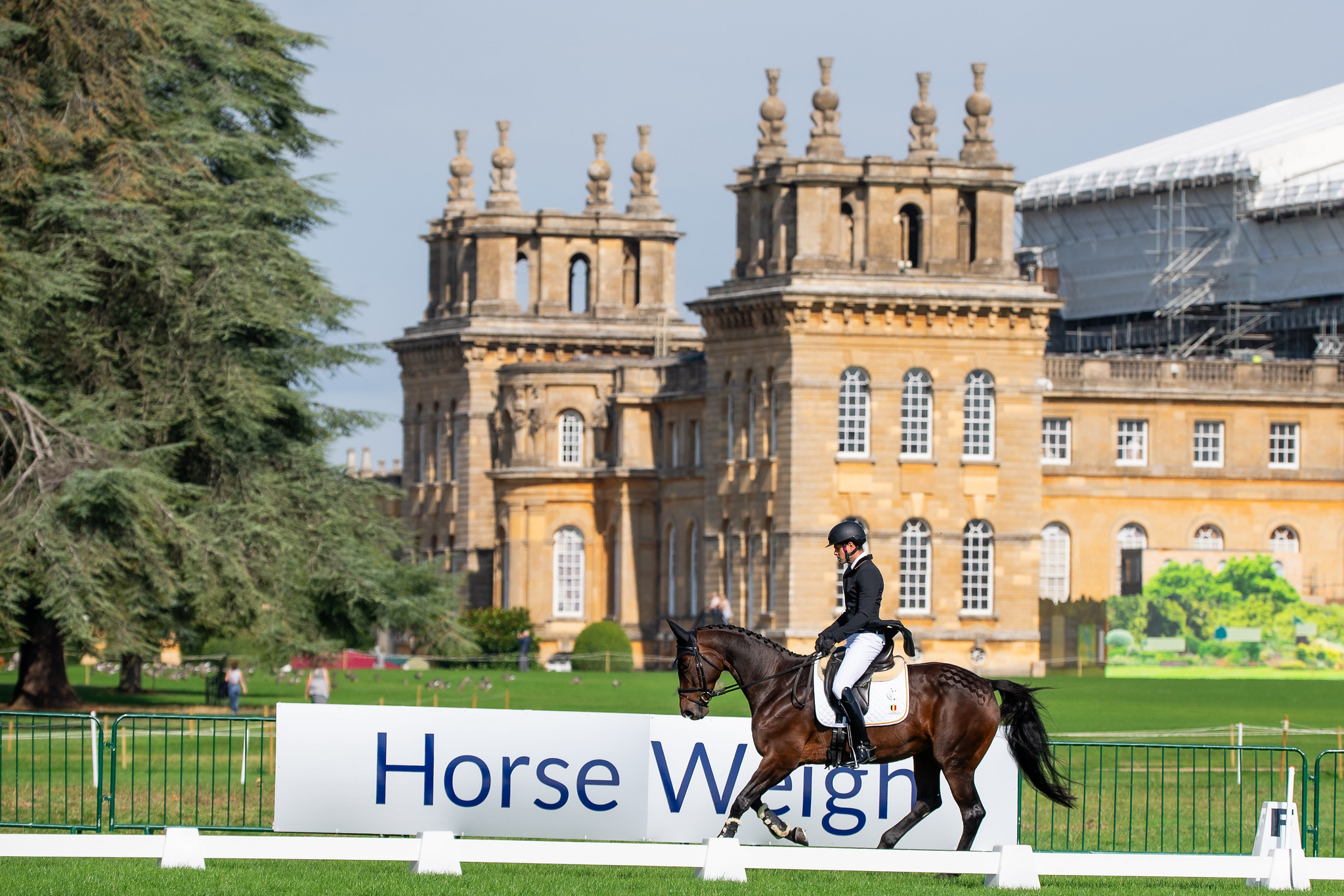 Blenheim