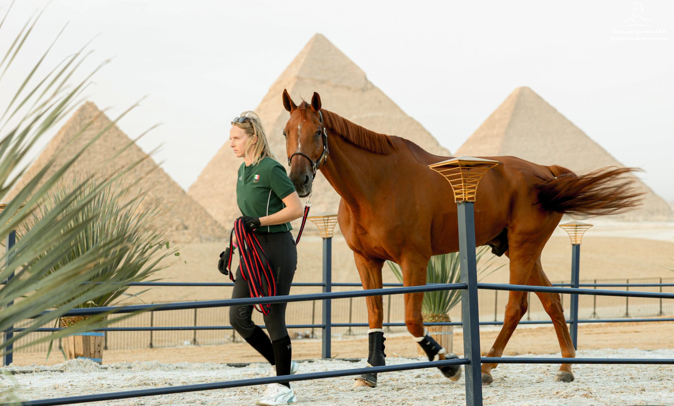 LGCT Le Caire