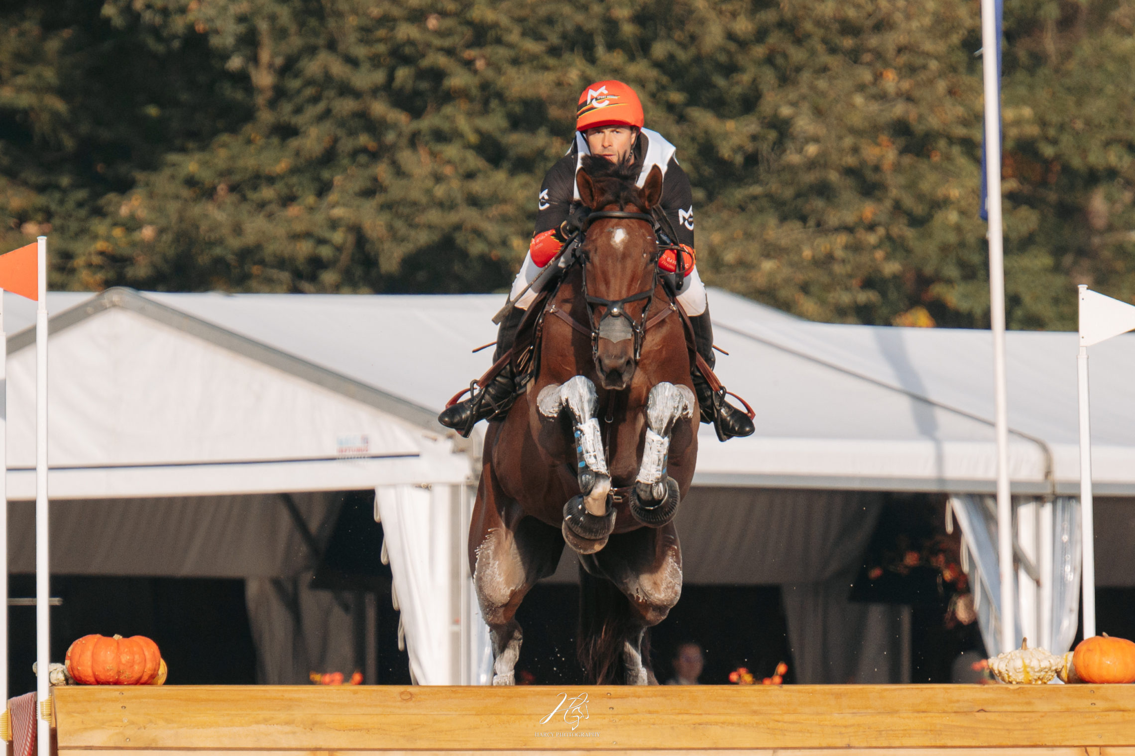 (Cyril Gavrilovic &Gatine de l’Aubree Boekelo