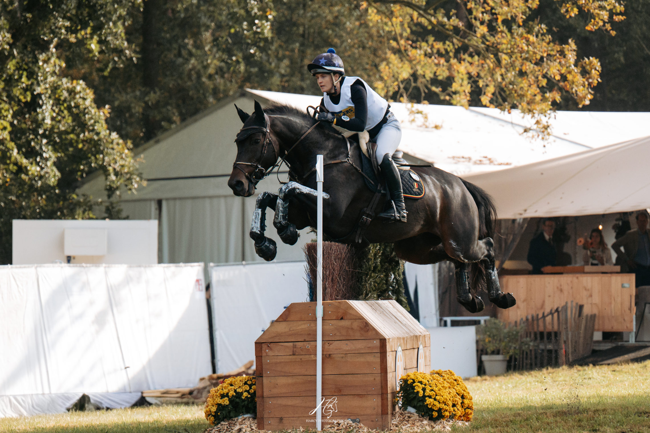 (Valentine Emsens & Maplevalleys Concorde Boekelo