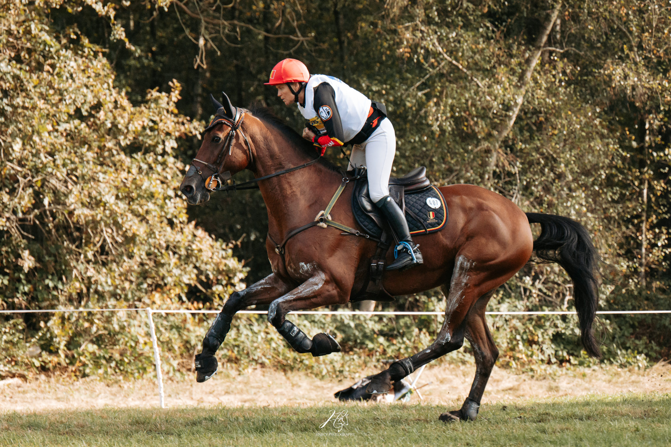 Karin Donckers Boekelo