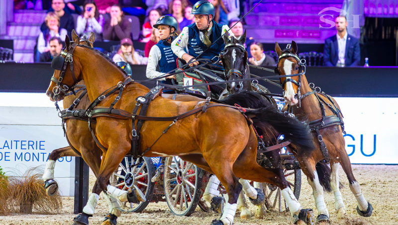 Dries Degrieck : quatre chevaux, un trône et le monde à ses pieds