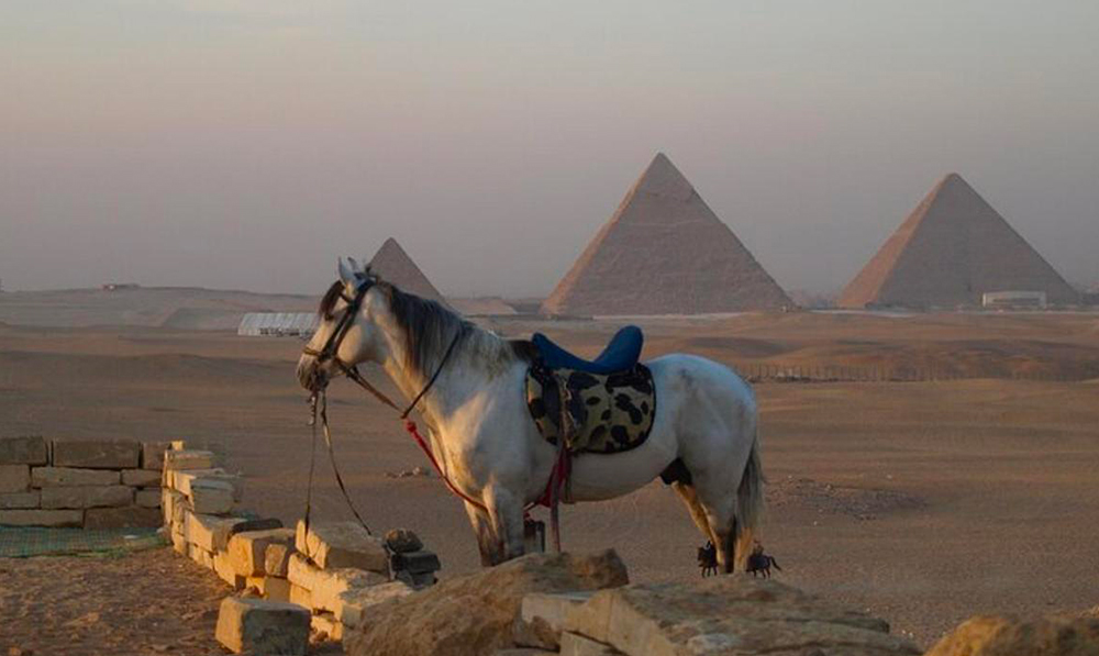 Pyramide cheval