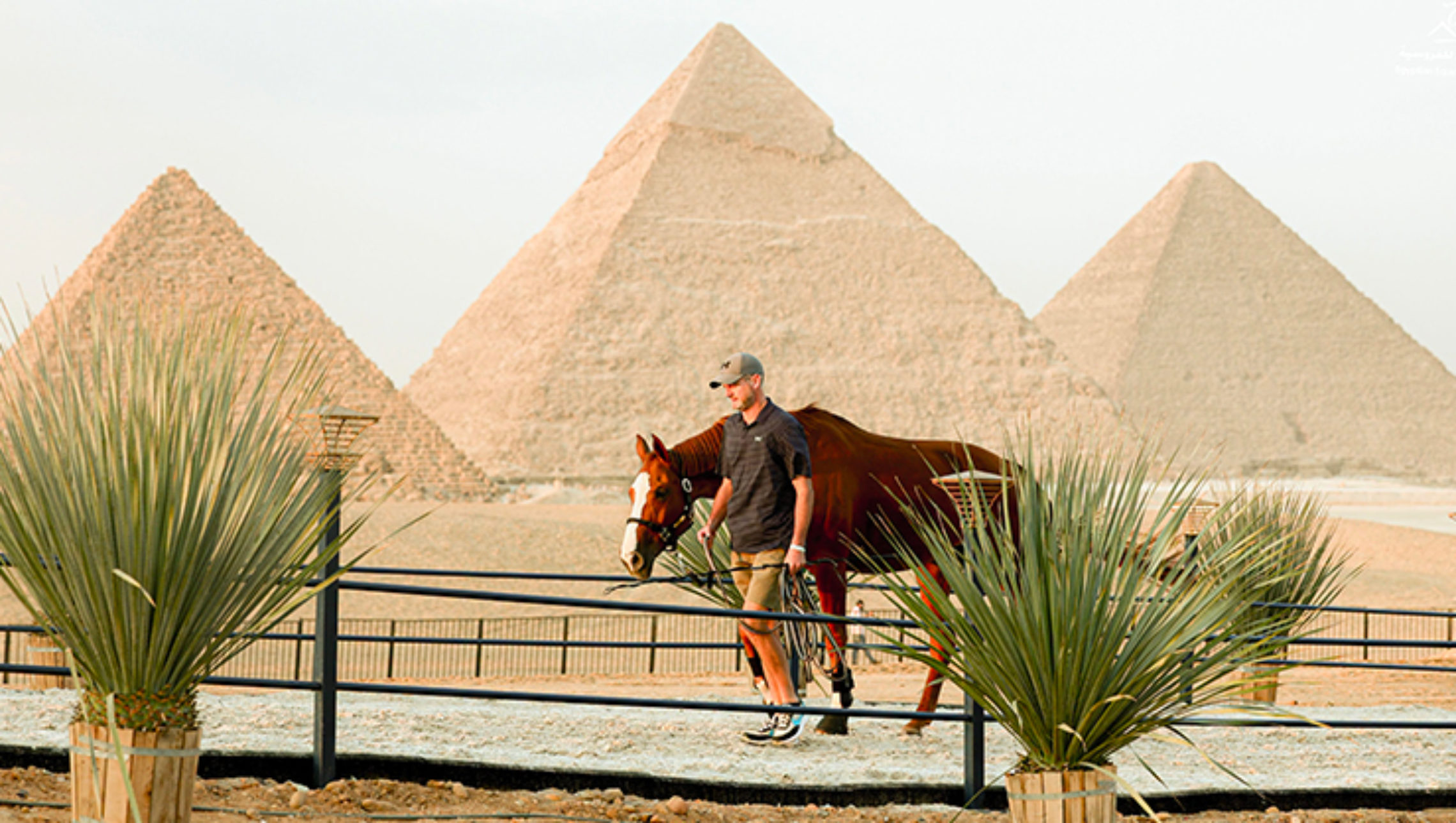La tour Eiffel peut se rhabiller : le jumping s’offre les pyramides !