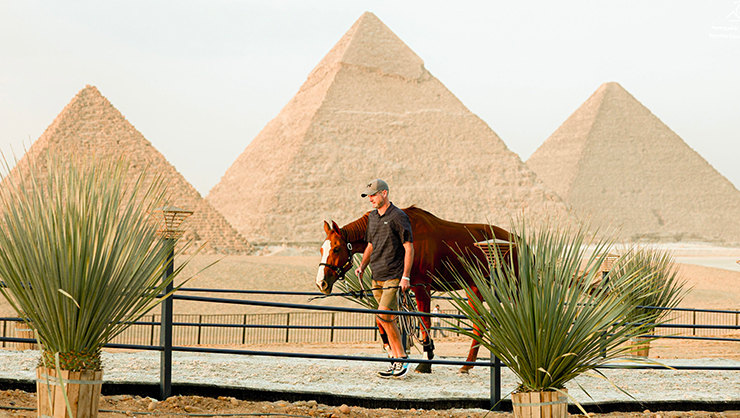 LGCT Le Caire